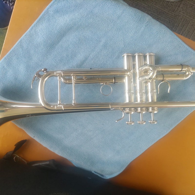 YAMAHA YTR-9335NYSの画像